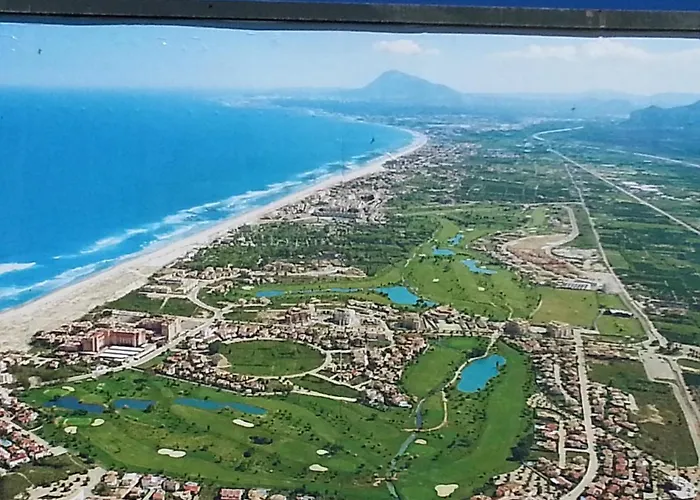 Oliva Nova